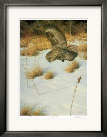 Hunting for Voles Framed Print Hunting for Voles Framed Print