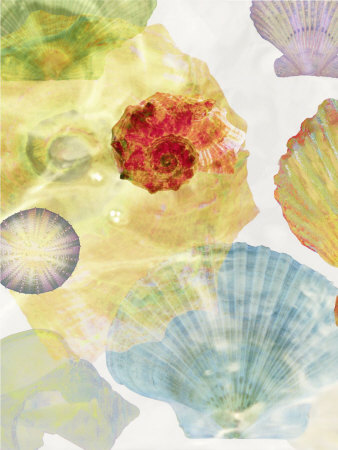 Shell Suite I Print Shell Suite I Print