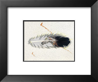 Feather Horse (S/N ed/125) Framed Print Feather Horse (S/N ed/125) Framed Print