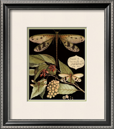 Whimsical Dragonfly on Black I Framed Print Whimsical Dragonfly on Black I Framed Print