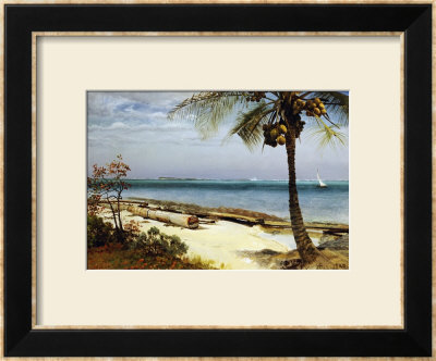 Tropical Coast Framed Giclee Print Tropical Coast Framed Giclee Print