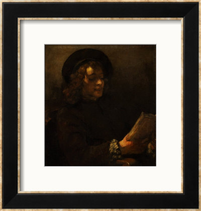 miranda rijnsburger wikipedia. de miranda rijnsburger