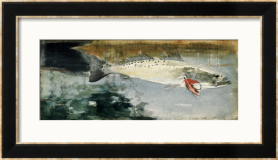 Mrs Rh Watts' Trout Framed Giclee Print Mrs Rh Watts' Trout Framed Giclee Print