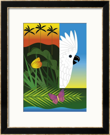 Cockatoo Framed Giclee Print Cockatoo Framed Giclee Print