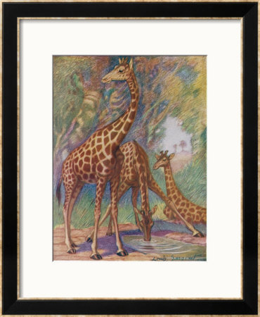 Three Giraffes Framed Giclee Print Three Giraffes Framed Giclee Print