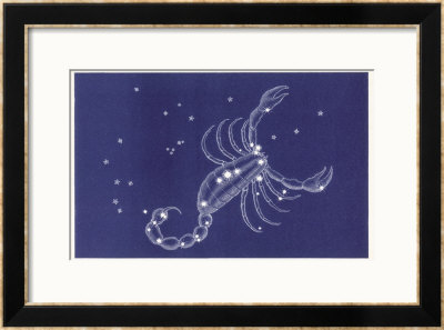 Scorpio Framed Giclee Print Scorpio Framed Giclee Print