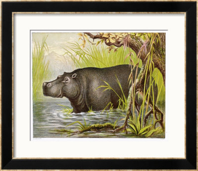 Wading in an Egyptian Lake Framed Giclee Print Wading in an Egyptian Lake Framed Giclee Print