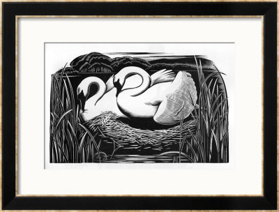 Two Swans Framed Giclee Print Two Swans Framed Giclee Print