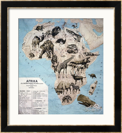 pictures of animals in africa. Map of Animals in Africa Sf