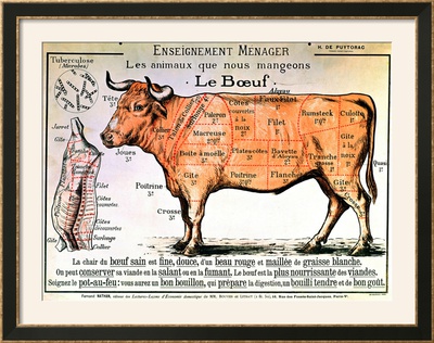 cuts of meat. the Different Cuts of Meat