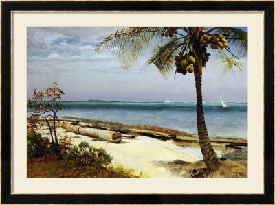 Tropical Coast Framed Giclee Print Tropical Coast Framed Giclee Print