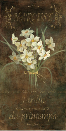 Narcisse Print Narcisse Print