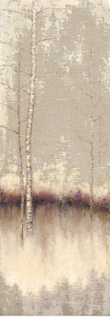 Birch Shadows II Print Birch Shadows II Print