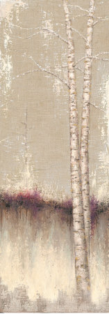 Birch Shadows III Print Birch Shadows III Print