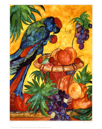 Parrot Print Parrot Print