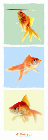 Mr Poisson Print Mr Poisson Print