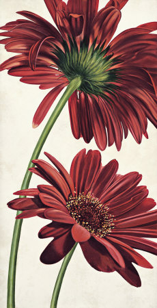 Armonie in Rosso Print Armonie in Rosso Print
