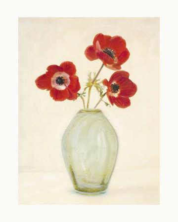Three Anemones Print Three Anemones Print