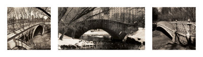 Central Park Bridges Print Central Park Bridges Print