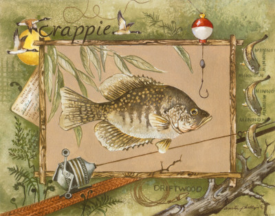 Crappie Print Crappie Print