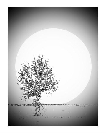 Moon Glow 1 Photographic Print Moon Glow 1 Photographic Print
