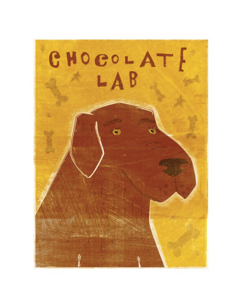 Chocolate Lab Print Chocolate Lab Print