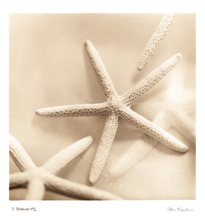 Il Oceano II Print Il Oceano II Print