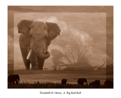 Big Bad Bull Print Big Bad Bull Print