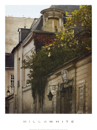 North Window Print North Window Print