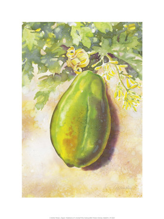 Papaya Print Papaya Print