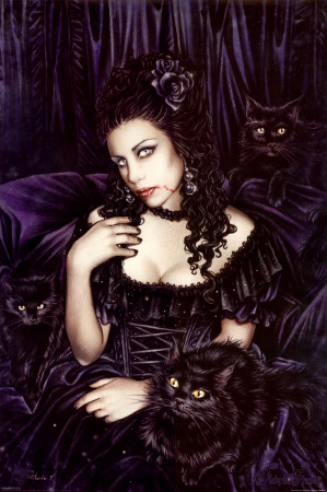 Cat Poster Cat Poster