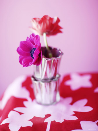 Fun Pink Bouquet II Premium Poster Fun Pink Bouquet II Premium Poster