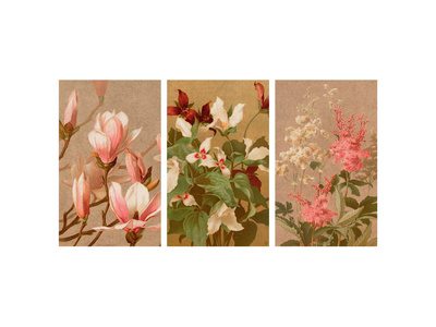Red and Painted Trillium Premium Poster Red and Painted Trillium Premium Poster
