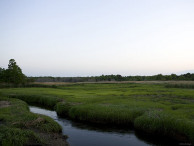 Marshland Rivulet Premium Poster Marshland Rivulet Premium Poster