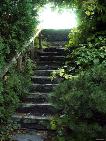 Ascent in Nature's Midst Premium Poster Ascent in Nature's Midst Premium Poster