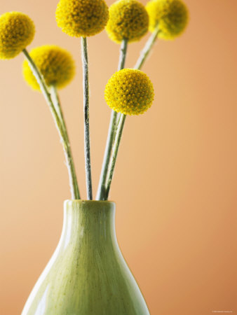 Yellow Bouquet Premium Poster Yellow Bouquet Premium Poster