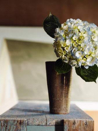 Hydrangea Rustic Vase Premium Poster Hydrangea Rustic Vase Premium Poster