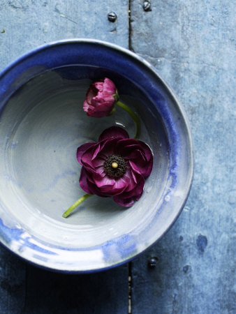Small Blue Bowl, Two Flowers Premium Poster Small Blue Bowl, Two Flowers Premium Poster