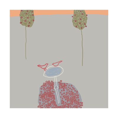 Birdbath Meeting Premium Poster Birdbath Meeting Premium Poster