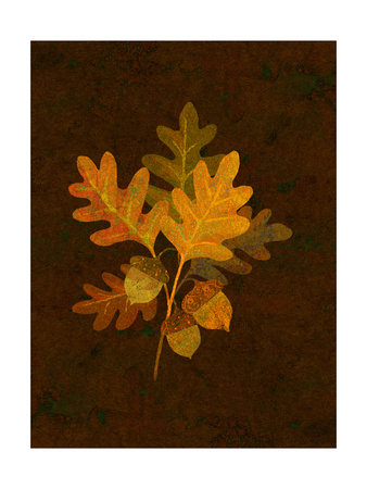 Autumn Leaves I Premium Poster Autumn Leaves I Premium Poster