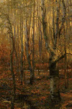 Into The Forest I Limited Edition Into The Forest I Limited Edition