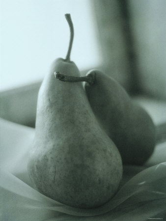 Pears Pairing in Blue Premium Poster Pears Pairing in Blue Premium Poster