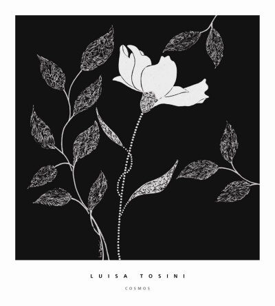 Cosmos Print Cosmos Print