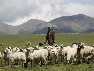 female goat herder