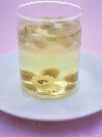 Flower Jelly Other Flower Jelly Other
