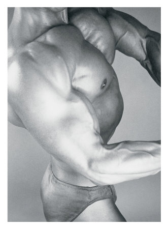 Flexing It Giclee Print Flexing It Giclee Print