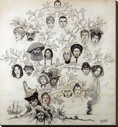 Family Tree Stretched Canvas Print Family Tree Stretched Canvas Print