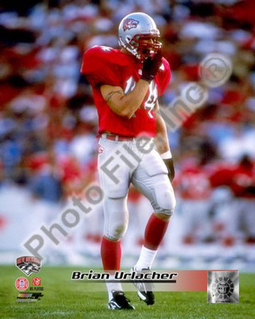 Brian Urlacher Photograph Brian Urlacher Photograph