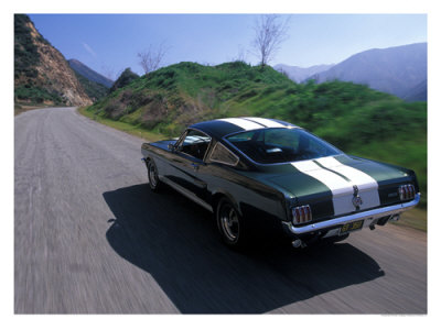 1966 Shelby GT350 Giclee Print 1966 Shelby GT350 Giclee Print