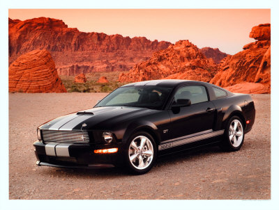 2007 Shelby GT Giclee Print 2007 Shelby GT Giclee Print
